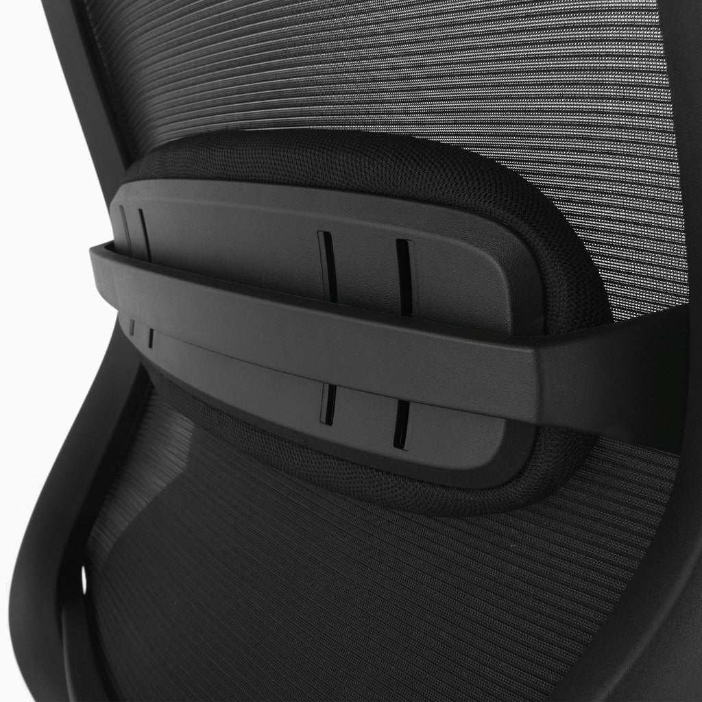 Desky CoilFlex Chair adjustable lumbar support