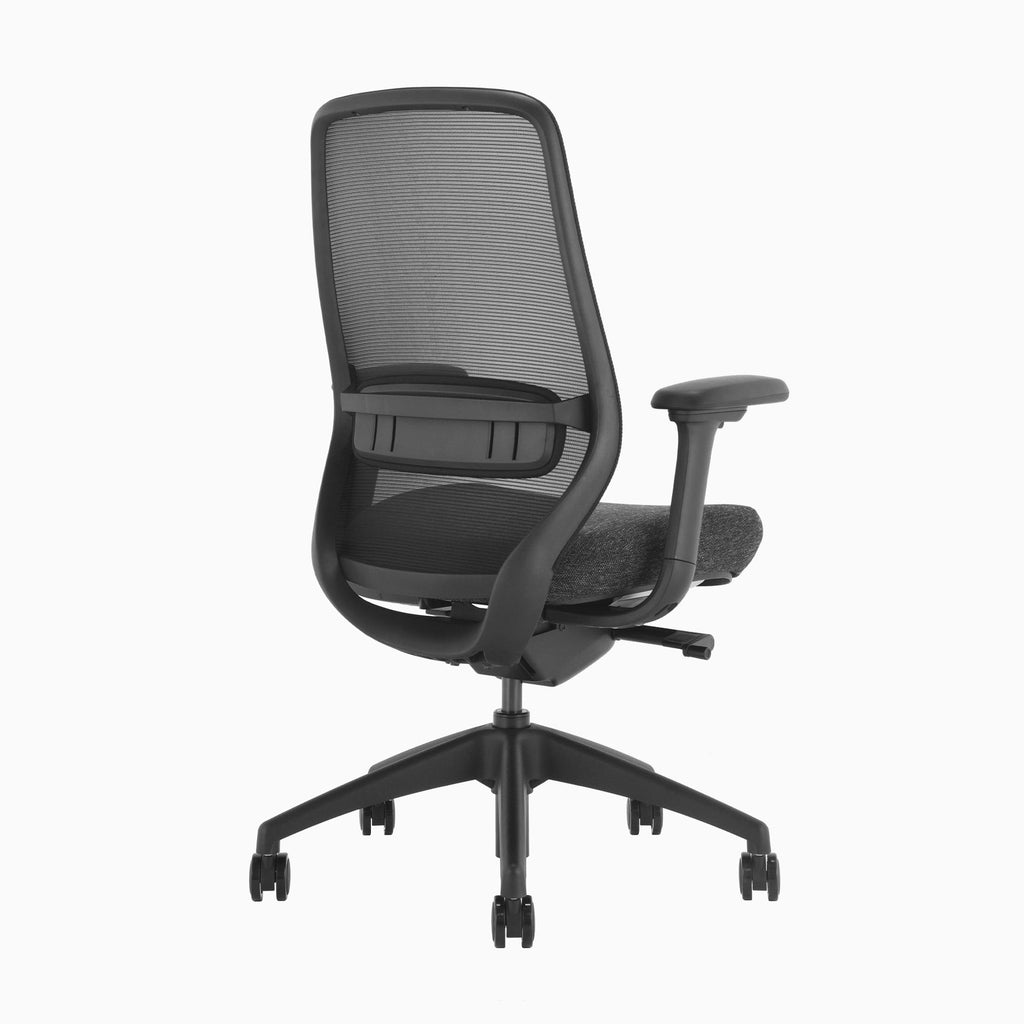 Desky CoilFlex Office Chair Black back side