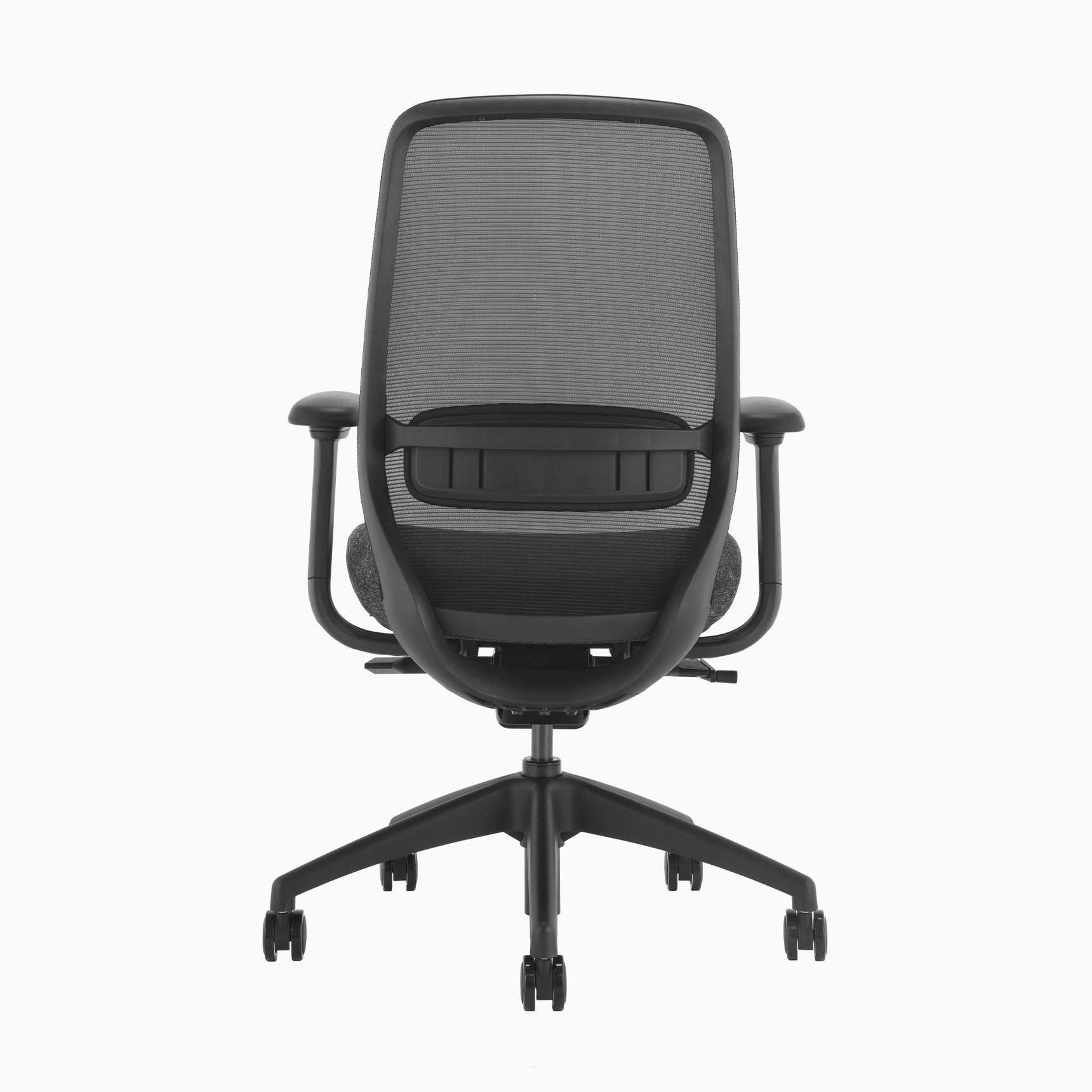 Desky CoilFlex Office Chair Black back