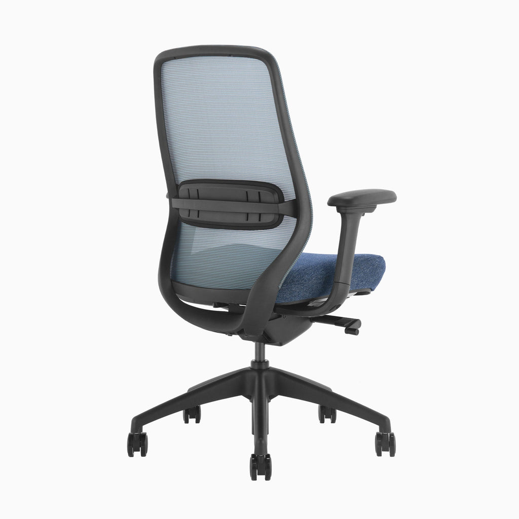 Desky CoilFlex Office Chair Blue back side