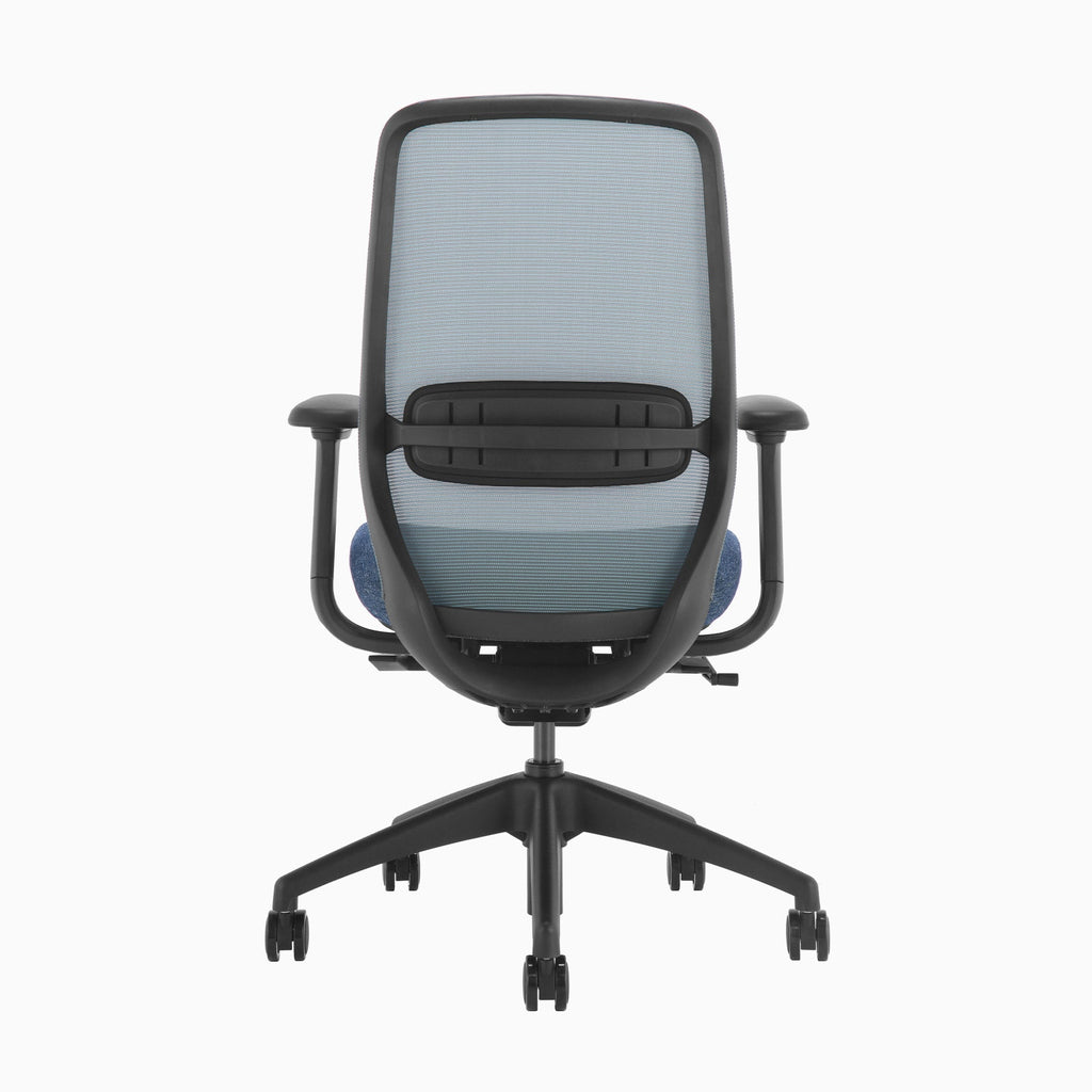 Desky CoilFlex Office Chair Blue back