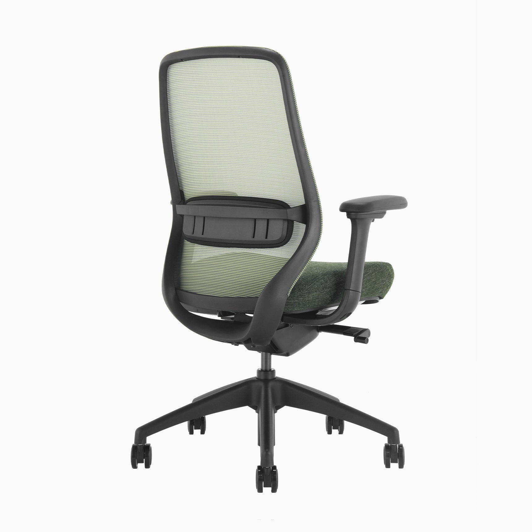 Desky CoilFlex Office Chair Dark Green back side
