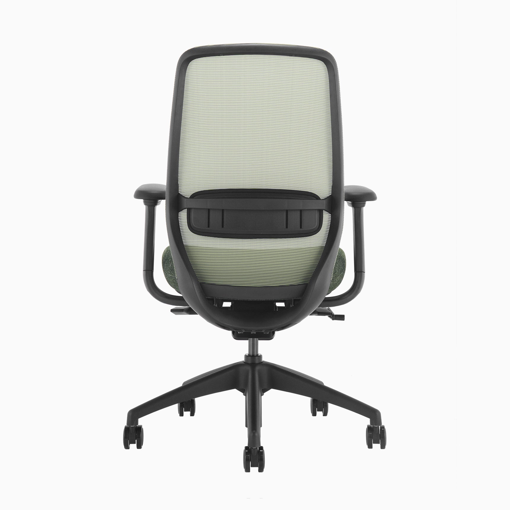 Desky CoilFlex Office Chair Dark Green back