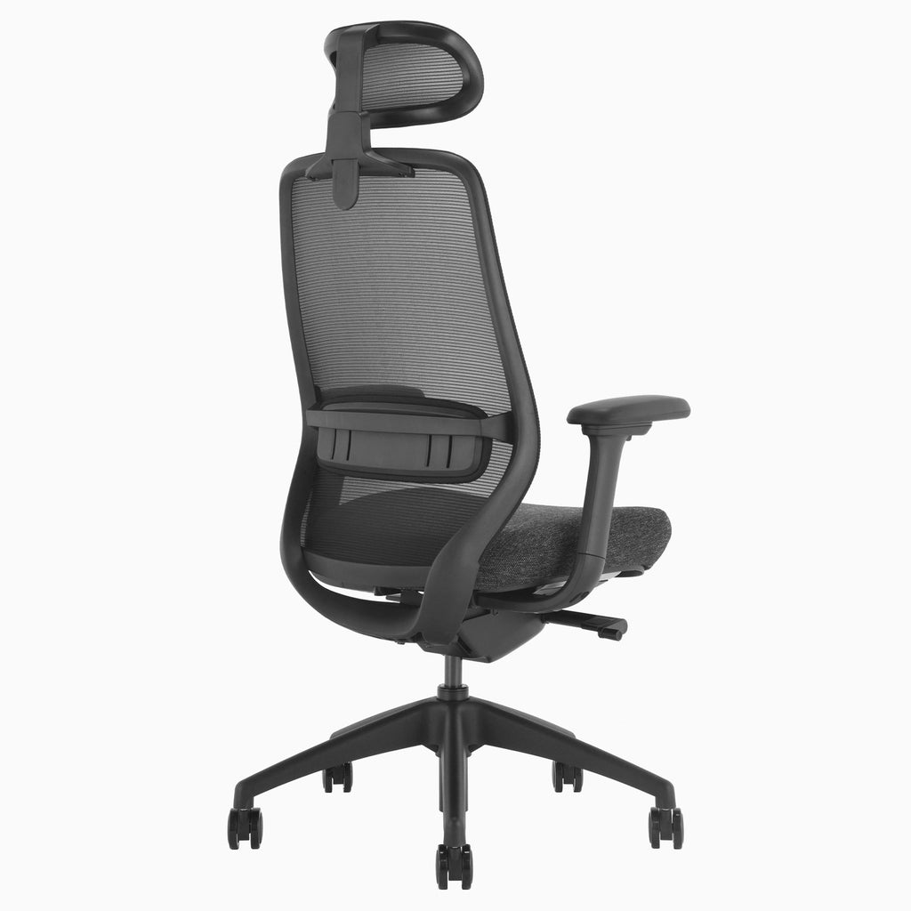 Desky CoilFlex Office Chair Black headrest back side