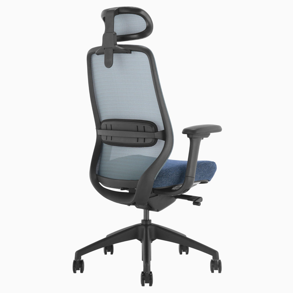 Desky CoilFlex Office Chair Blue headrest back side