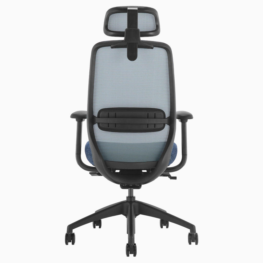 Desky CoilFlex Office Chair Blue headrest back