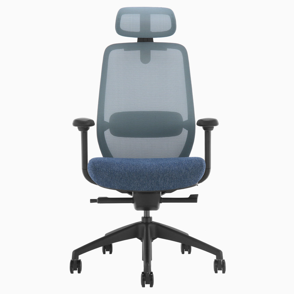 Desky CoilFlex Office Chair Blue headrest front
