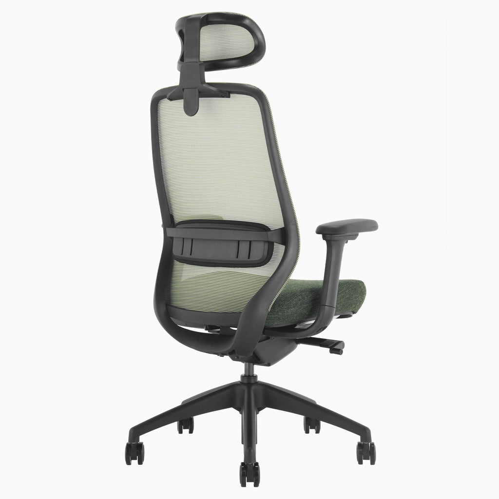 Desky CoilFlex Office Chair Dark Green headrest back side