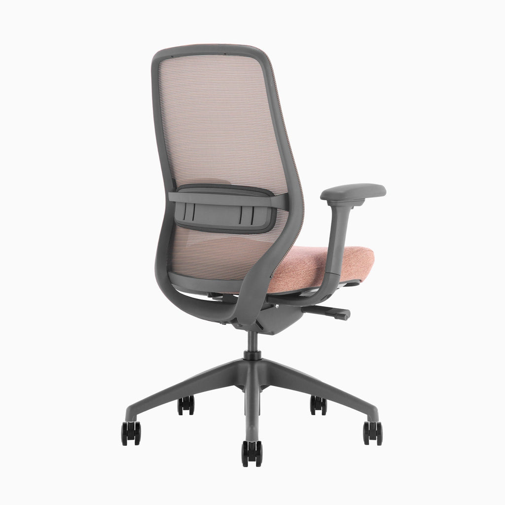 Desky CoilFlex Office Chair Peach back side