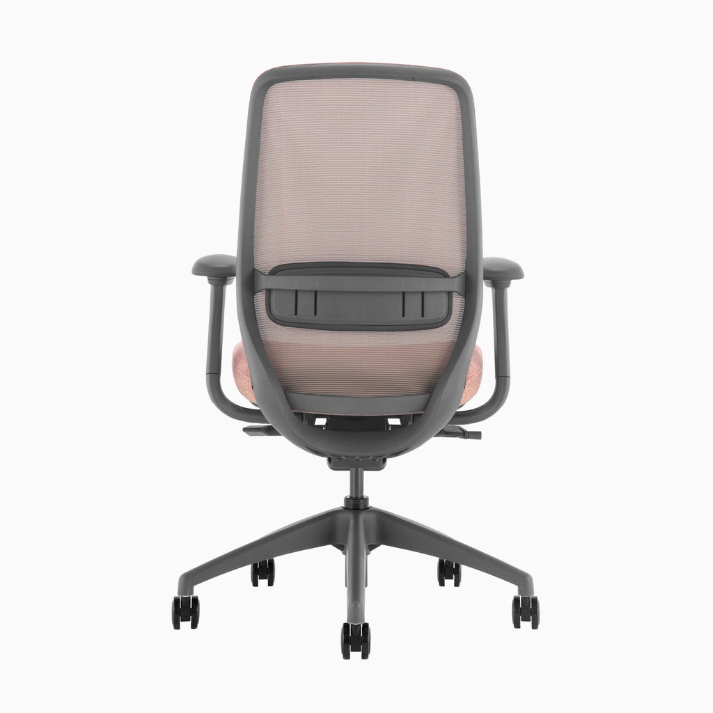 Desky CoilFlex Office Chair Peach back
