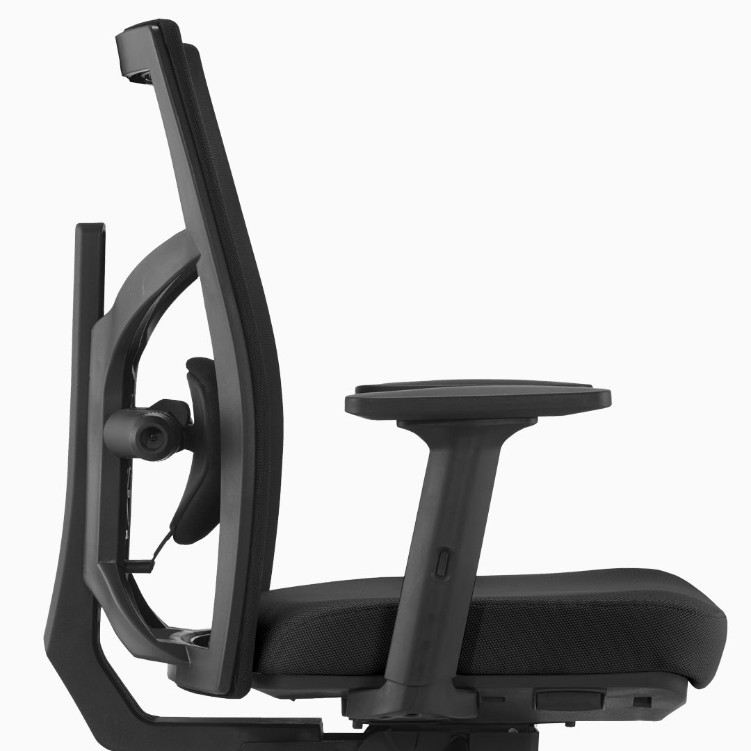 Desky Elite Ergonomic Chair lumbar support detail