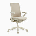 Desky Pro Ergonomic Mesh Chair in Wheat