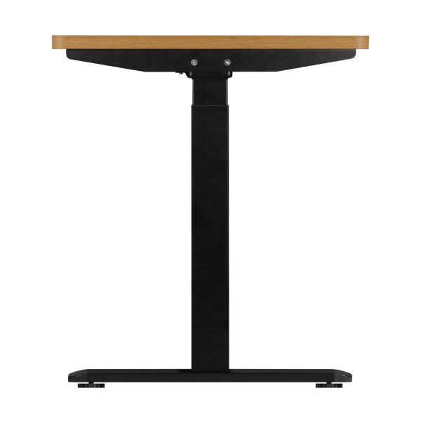 Oikiture Dual Motor Standing Desk USB and Type-C ports